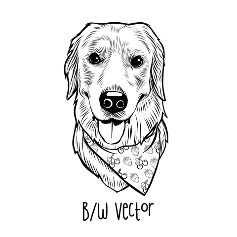 Drawing Style