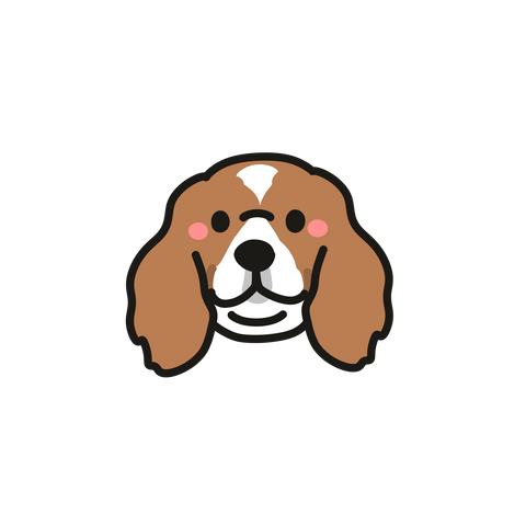 Standard Dog Template