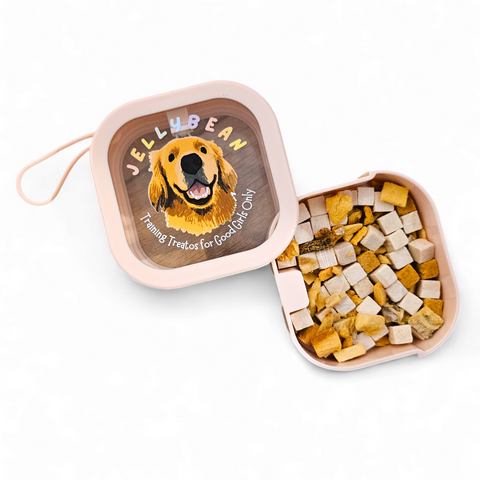 Portable Treat Storage Box