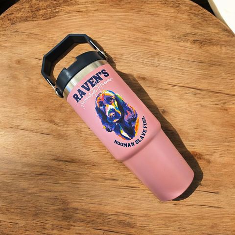 30oz Thermal Tumbler with Handle + Straw Lid