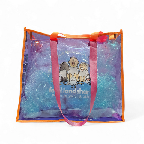 XL Rainbow Jelly Bag