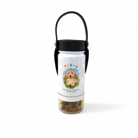 WalkBuddy 3-in-1 Thermal Water Bottle