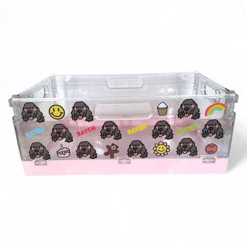 Stackable Clear Crate