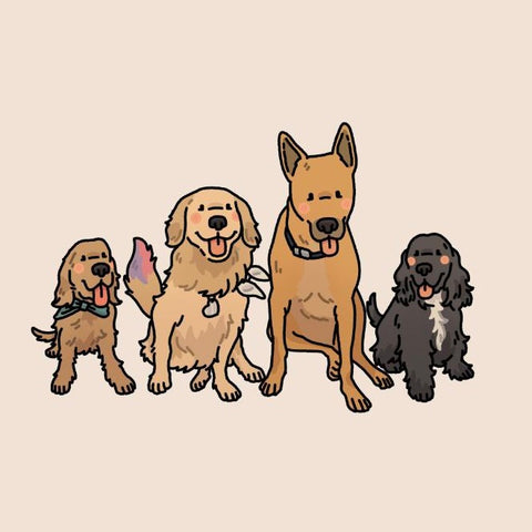 Drawing Style
